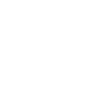 Wahl logo